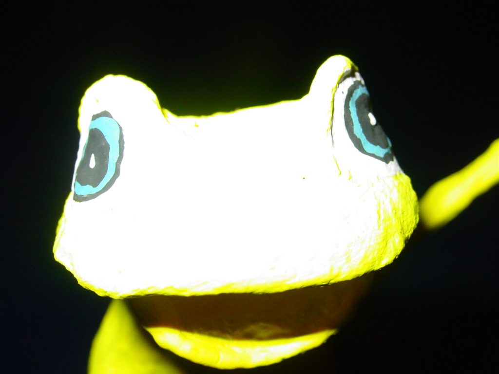 frog me